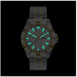 ZEGAREK FOSSIL GARRETT