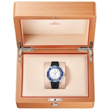 ZEGAREK OMEGA SEAMASTER PLANET OCEAN 6000M