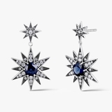 Kolczyki srebrne Royal Star