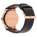 ZEGAREK CALVIN KLEIN ESTABLISHED