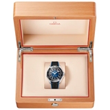 ZEGAREK OMEGA SEAMASTER PLANET OCEAN 6000M