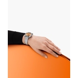 ZEGAREK OMEGA SEAMASTER AQUA TERRA SHADES