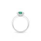 Pierścionek złoty RECARLO