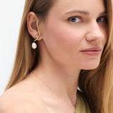 Monokolczyk srebrny Follow