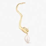 Monokolczyk srebrny Follow