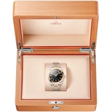 ZEGAREK OMEGA SEAMASTER AQUA TERRA 150M