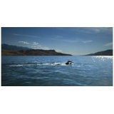 ZEGAREK GARMIN FENIX 8 AMOLED