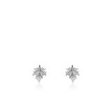 Kolczyki srebrne liście klonu