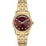 ZEGAREK FOSSIL SCARLETTE