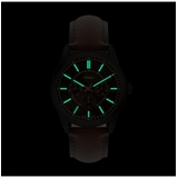 ZEGAREK FOSSIL PEARSON