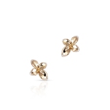 Kolczyki złote Pasquale Bruni