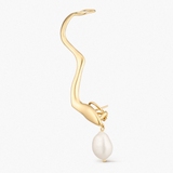 Monokolczyk srebrny Follow