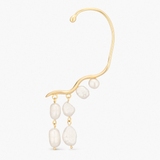 Monokolczyk srebrny Follow