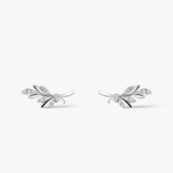 Kolczyki srebrne gałązki