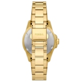 ZEGAREK FOSSIL BLUE DIVE