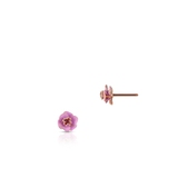 Kolczyki złote Kwiaty Nocy