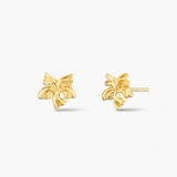 Kolczyki srebrne Follow