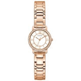 ZEGAREK GUESS MELODY