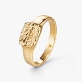 Pierścionek srebrny FREEDOM ELEMENTS