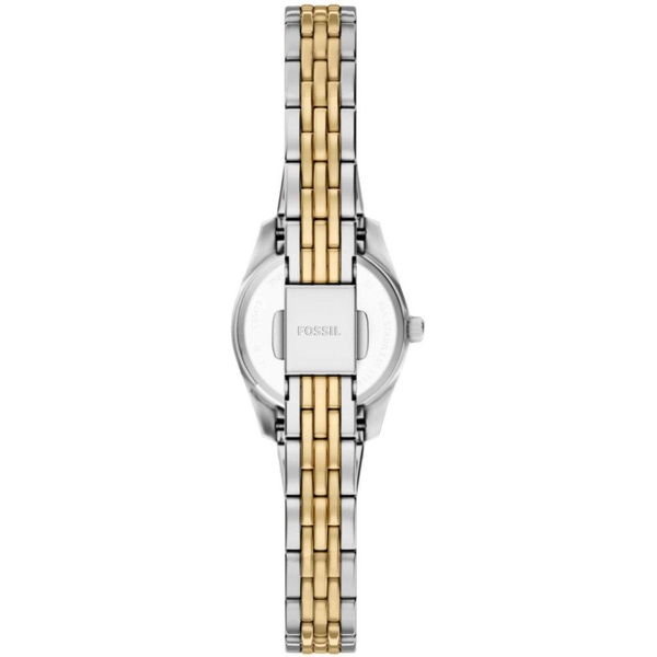 ZEGAREK FOSSIL SCARLETTE MINI