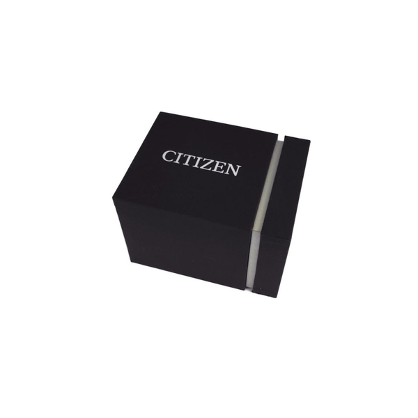 ZEGAREK CITIZEN Titanium