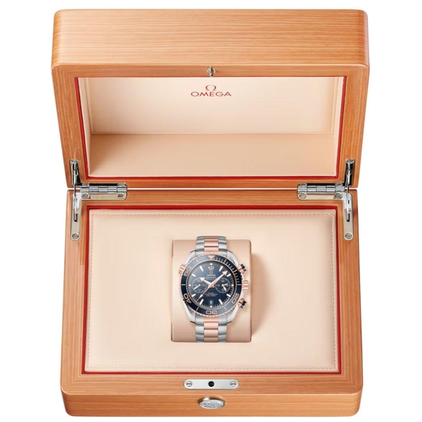 ZEGAREK OMEGA SEAMASTER PLANET OCEAN 600M