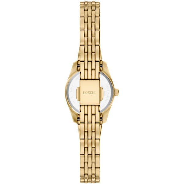 ZEGAREK FOSSIL SCARLETTE MINI