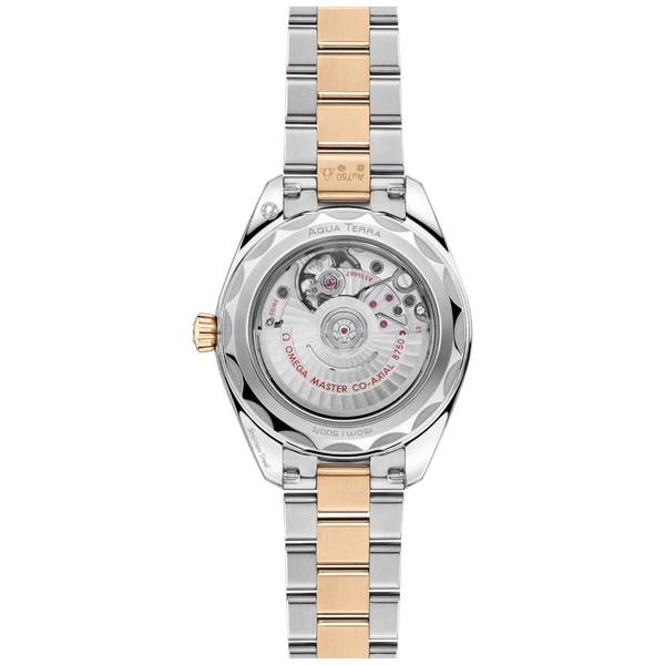 ZEGAREK OMEGA SEAMASTER AQUA TERRA 150M