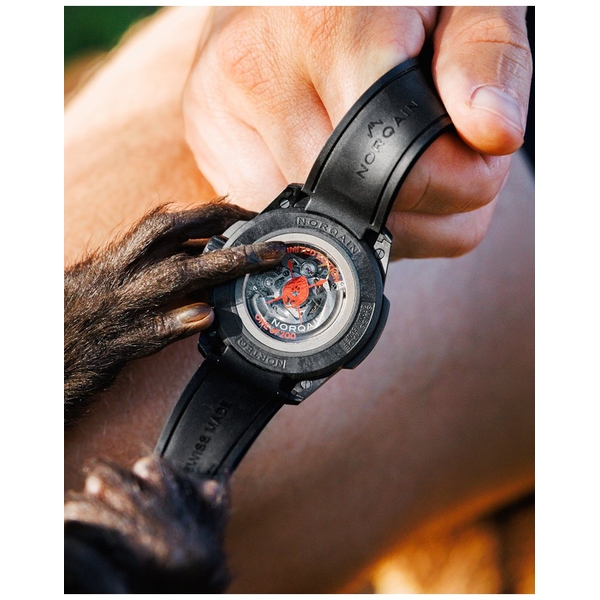 ZEGAREK NORQAIN WILD ONE SKELETON HAKUNA MIPAKA LIMITED EDITION