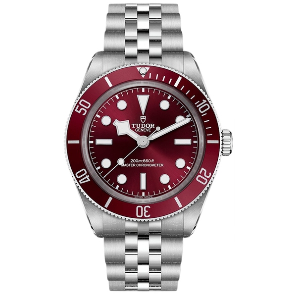TUDOR BLACK BAY 58