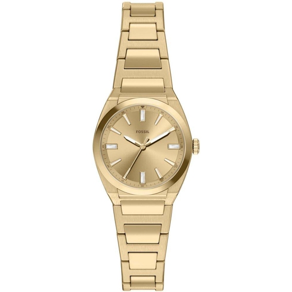 ZEGAREK FOSSIL EVERETT