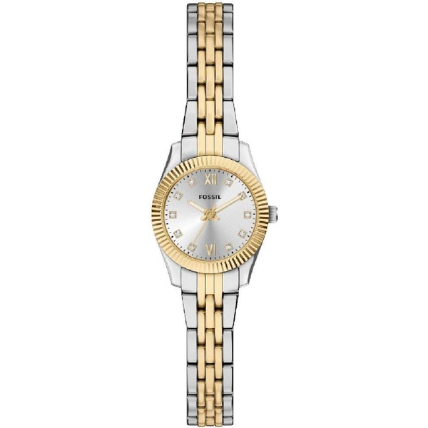 ZEGAREK FOSSIL SCARLETTE MINI