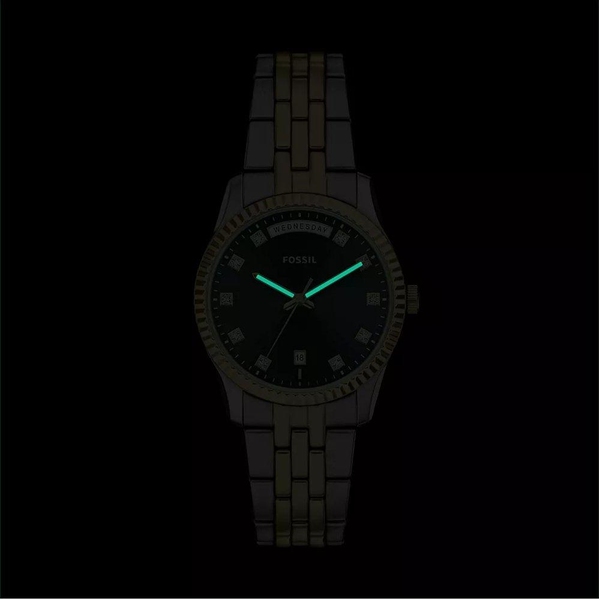 ZEGAREK FOSSIL SCARLETTE