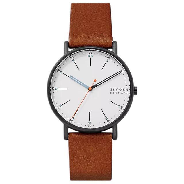 ZEGAREK SKAGEN SIGNATUR