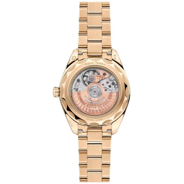 ZEGAREK OMEGA SEAMASTER AQUA TERRA 150M