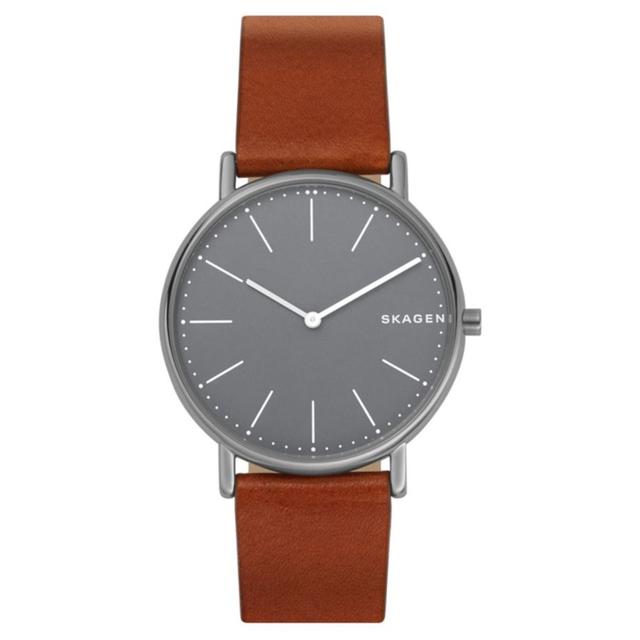 ZEGAREK SKAGEN SIGNATUR TITANIUM