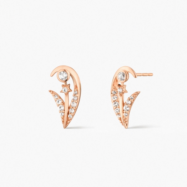 Kolczyki złote Follow