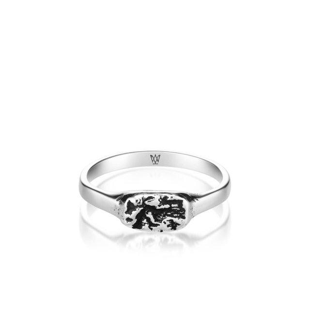 Pierścionek srebrny FREEDOM ELEMENTS