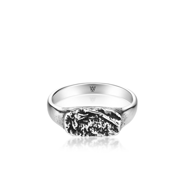 Pierścionek srebrny FREEDOM ELEMENTS