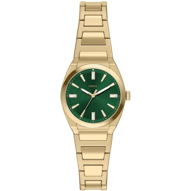 ZEGAREK FOSSIL EVERETT