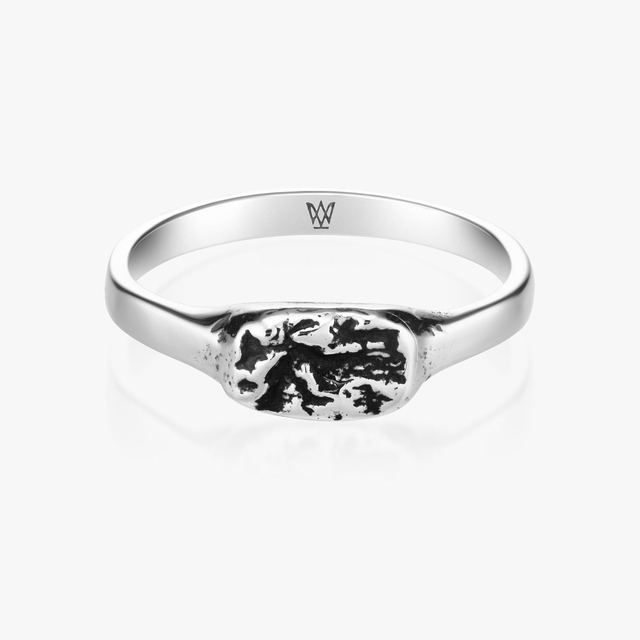 Pierścionek srebrny FREEDOM ELEMENTS