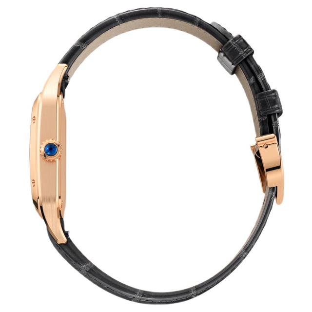 ZEGAREK CARTIER SANTOS-DUMONT S