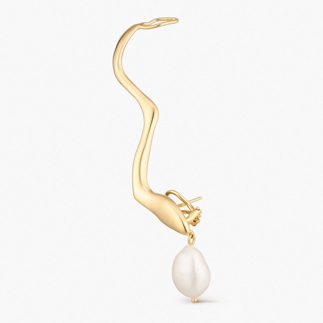 Monokolczyk srebrny Follow