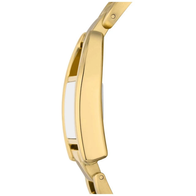 ZEGAREK FOSSIL HARWELL