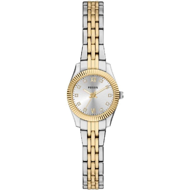 ZEGAREK FOSSIL SCARLETTE MINI
