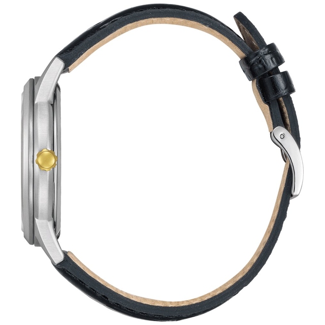 ZEGAREK CITIZEN ECO-DRIVE ELEGANCE