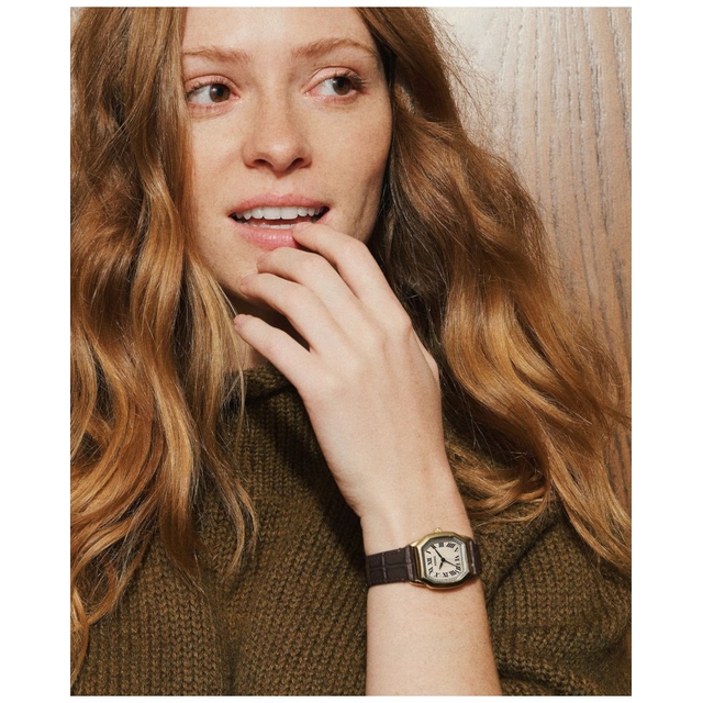 ZEGAREK FOSSIL HARLOW