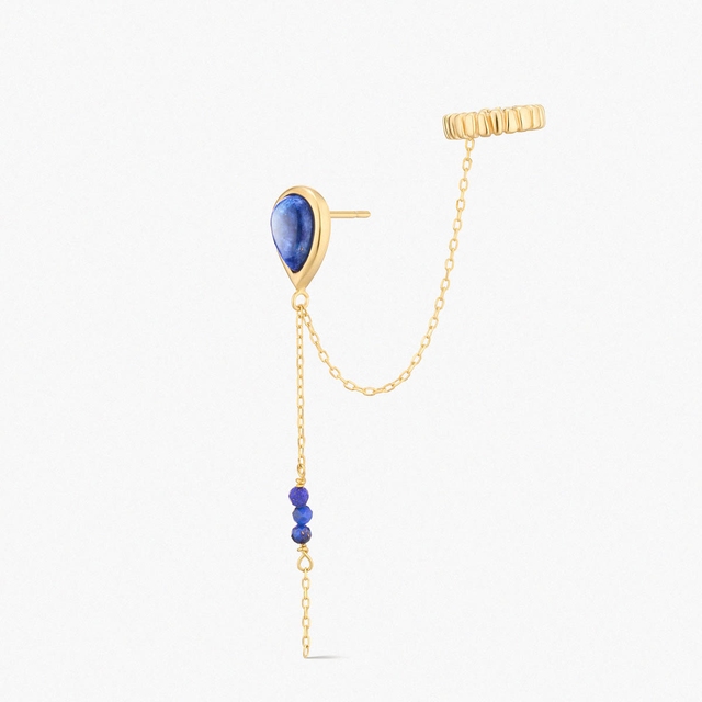 Monokolczyk srebrny Follow