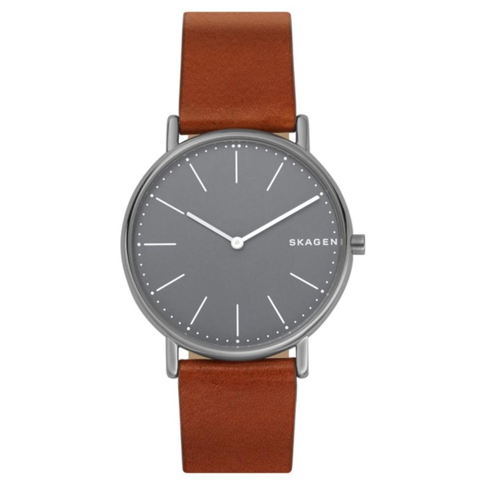 ZEGAREK SKAGEN SIGNATUR TITANIUM