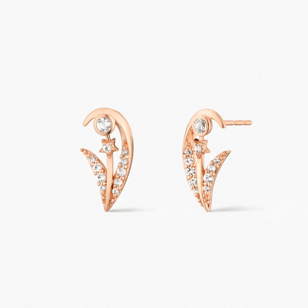 Kolczyki złote Follow